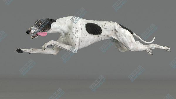 images/goods_img/20210312/3D Greyhound (4) (Rigged) model/1.jpg